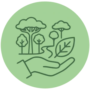 Conservación de los bosques amazónicos
